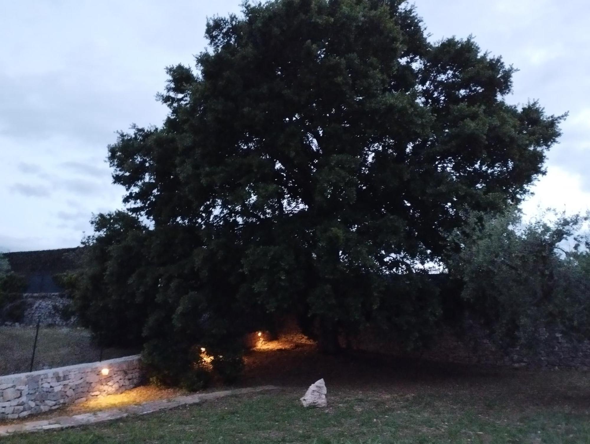 Willa Trulli La Quercia Del Nonno Locorotondo Zewnętrze zdjęcie